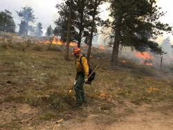 Prescribed Burn at the Boy Scout Ranch